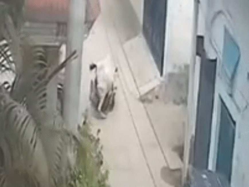 सांड ने युवक को 4 फीट हवा में उछाला:गिरते ही पैरों से कुचल दिया, उन्नाव में पटक-पटककर मार डाला
