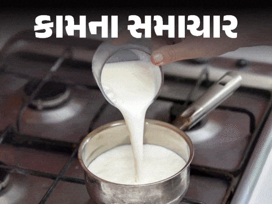 પેક થેલીનું દૂધ પણ ખરાબ હોઈ શકે?:જાણો એને પેક કર્યા પહેલાંની બે પ્રક્રિયા, વારંવાર ઉકાળવું કેટલું યોગ્ય?; નિષ્ણાતો પાસેથી જાણો એને તાજું રાખવાની રીત