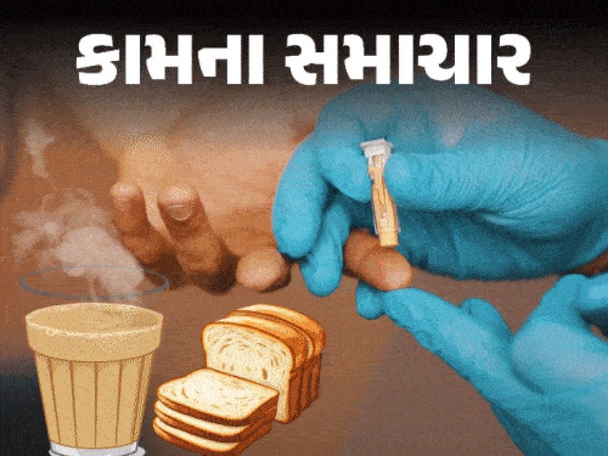 ચા સાથે બ્રેડ, બિસ્કિટ, રસ્ક, પાપડી ધીમું ઝેર:આજે જ આ આદત છોડી દો, ખાલી પેટે ચા સાથે સ્વસ્થ નાસ્તો લો; પાચનતંત્ર સ્વસ્થ રહેશે અને ઊર્જા મળશે