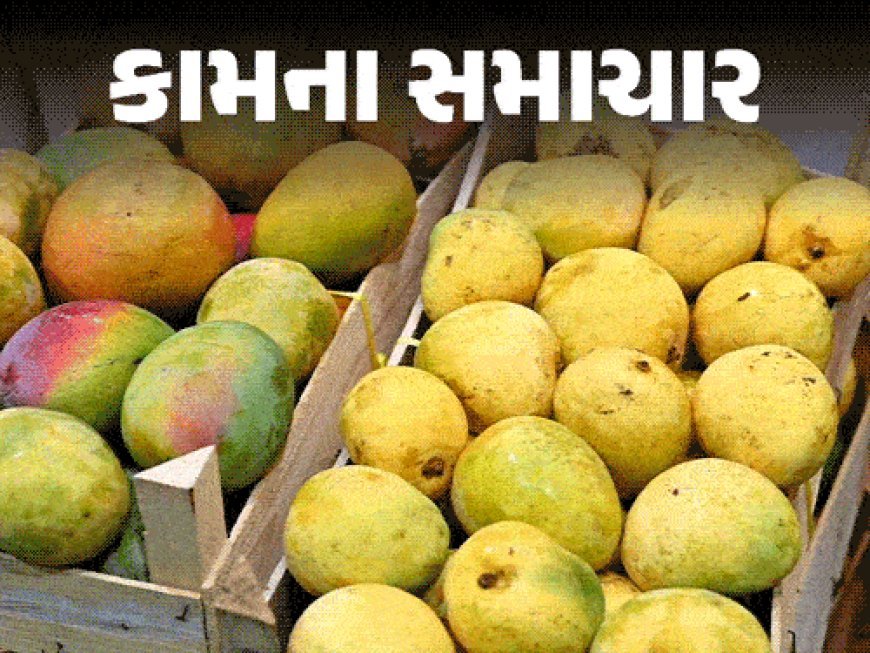 ફળોનો રાજા કેરી સ્વાસ્થ્ય માટે વરદાન:ભારતમાં દશેરીથી લઈને આલ્ફોન્સો સુધી કેરીની અનેક જાતો; આહારમાં સમય મુજબ આ 12 રીતે ખાઈ શકો