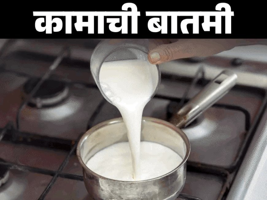 पॅकबंद दूध उकळणे फायदेशीर की हानिकारक?:पॅकेज्ड दूध उकळण्याचे वैज्ञानिक पैलू, जाणून घ्या तज्ज्ञांचे मत आणि योग्य पद्धत