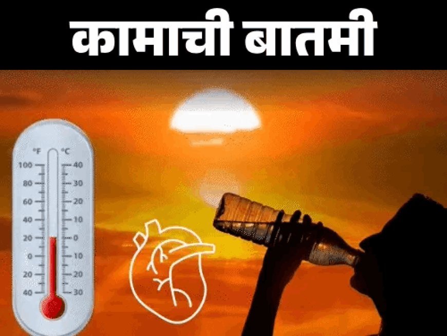 नवतपा: या 9 दिवसांच्या अति उष्णतेमध्ये विशेष काळजी घ्या:या 7 आरोग्य समस्या असलेल्यांना जास्त आरोग्य धोका असतो, जाणून घ्या डॉक्टरांकडून प्रतिबंधात्मक उपाय