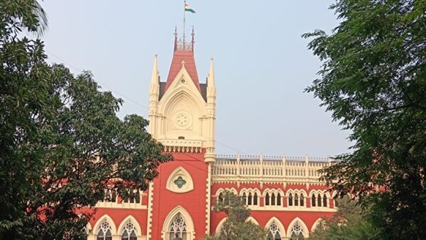সন্তানপালনের জন্য ছুটি নেওয়ায় অধ্যাপিকার বেতন বন্ধ, দিতে বলল হাইকোর্ট