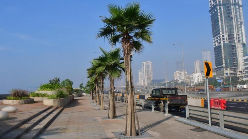 BMC selects RIL to develop open spaces along Coastal Road