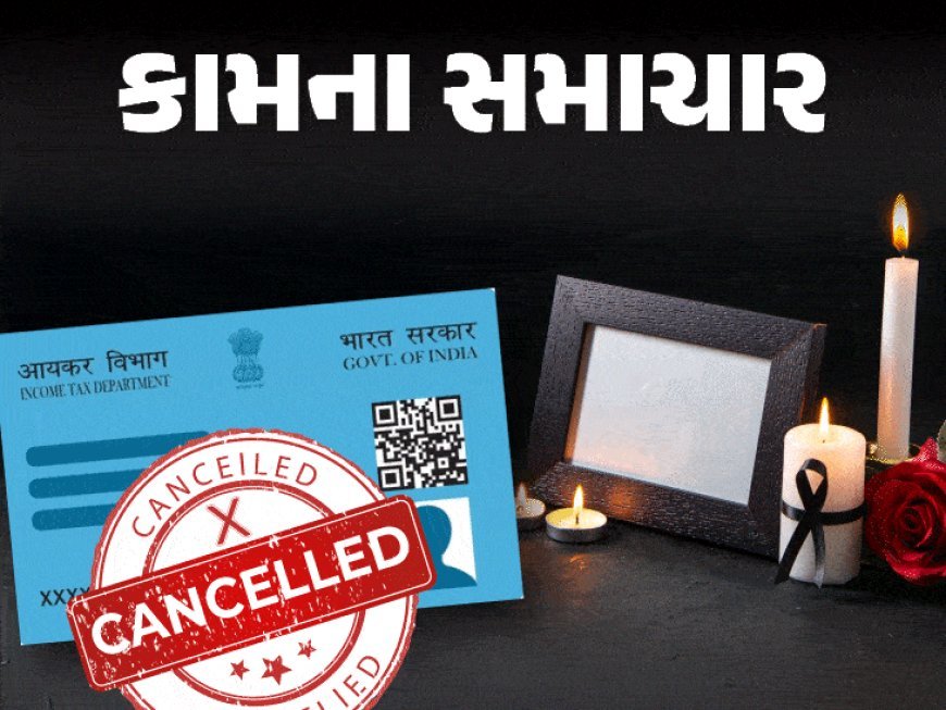 મૃત્યુ બાદ વ્યક્તિના પાનકાર્ડનું શું થાય?:મૃતક સ્વજનનું PAN રદ ન કરાવ્યું હોય તો ચેતી જજો; છેતરપિંડીથી બચવા કેન્સલ કરવું જરૂરી; આ 5 દસ્તાવેજથી સરળતા રહેશે