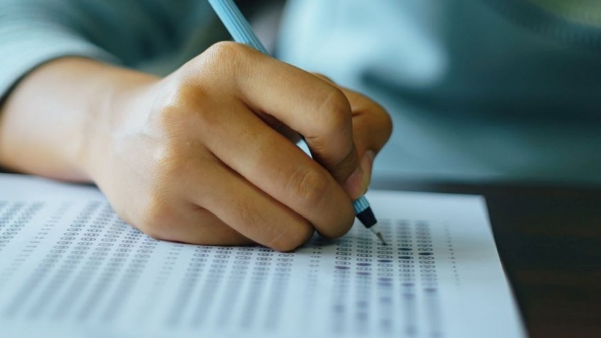 NEET UG Answer Key 2025 out at neet.nta.nic.in, direct link to download here