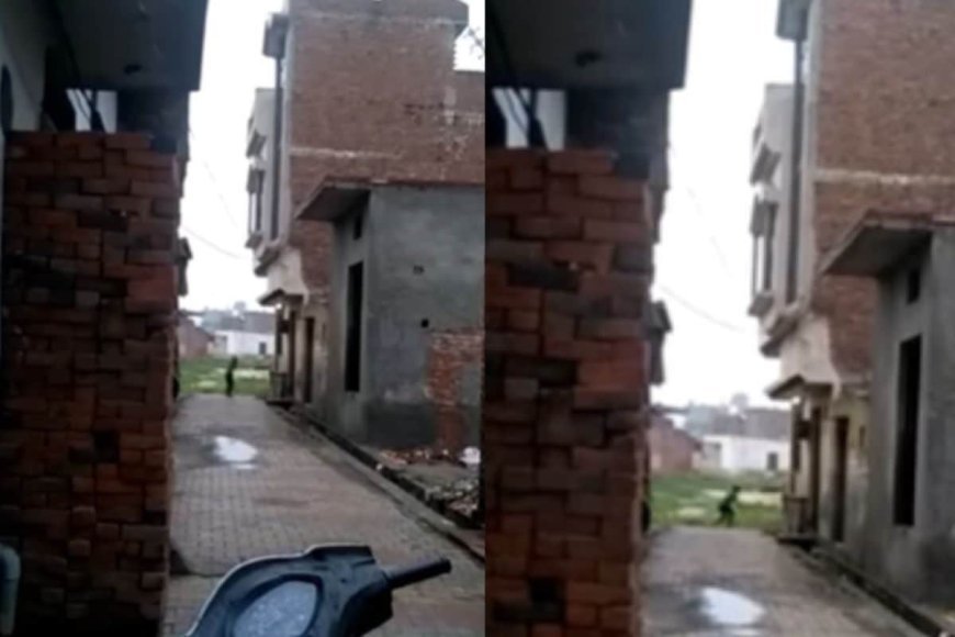 पति के जाते ही सिंदूर मिटा देती थी बीवी, बन जाती थी 'कुंवारी कली'