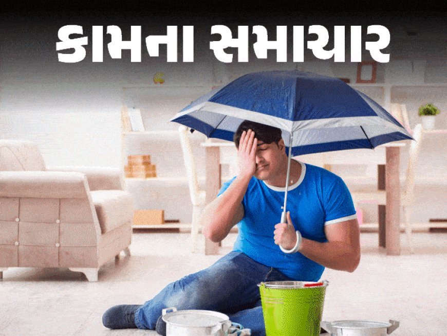 ચોમાસાં પહેલાં ઘરને સુરક્ષિત કરી લો:ફર્નિચર, દીવાલો અને છતને સુરક્ષિત રાખવા આ 9 કામ અગાઉથી કરો; ચોમાસાનો આનંદ નિશ્ચિંત બની માણી શકશો