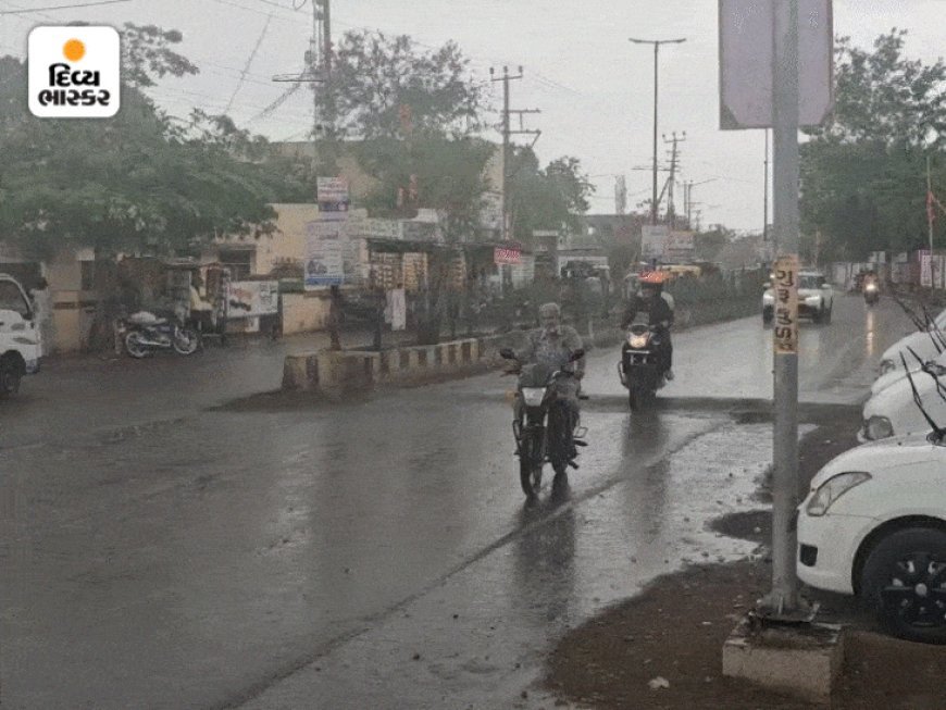 આજે દક્ષિણ ગુજરાતમાં ભારે વરસાદ પડી શકે:અમદાવાદ અને કચ્છ-સૌરાષ્ટ્રમાં હળવાથી મધ્યમ વરસાદની આગાહી