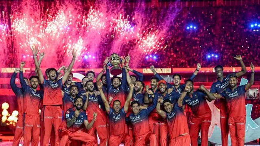 ভারতের এই বাড়িতে ১১ বছরে ৯টি IPL ট্রফি ঢুকেছে! ফাইনালে ইতিহাসও গড়লেন ১ সদস্য