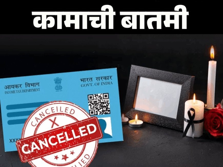मृत व्यक्तीचे पॅन कार्ड रद्द करणे का आवश्यक आहे?:6 कारणे, रद्द करताना घ्या या 7 खबरदारी, ही 5 कागदपत्रे आवश्यक आहेत