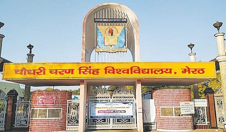 Meerut: देश के टॉप 100 विवि में शामिल हुआ सीसीएसयू, प्रदेश में रहा अव्वल, जानें कितनी आई रैंक