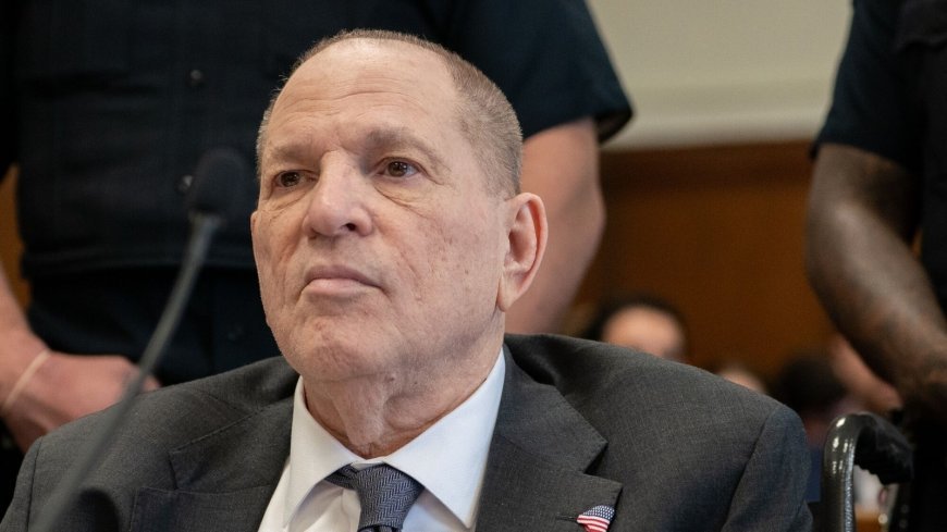 'No means no' prosecutor tells jurors as Harvey Weinstein trial wraps