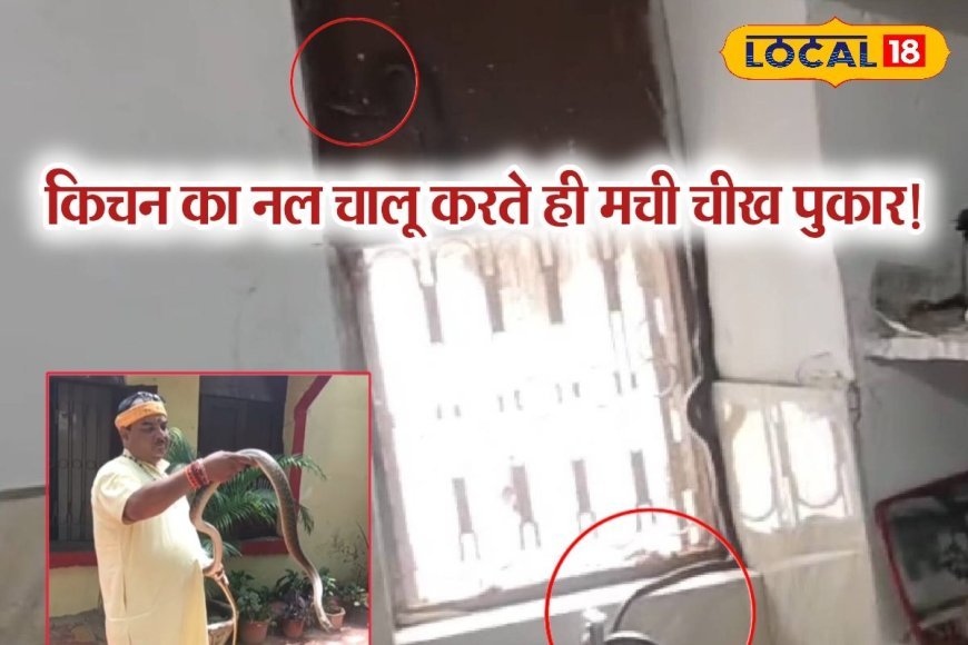 Viral Video:चीखते हुए किचन से भाग गई महिला, नल खोला था तो कांप गई रूह