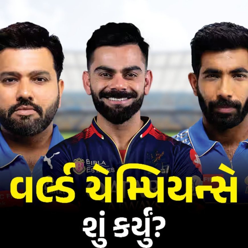 ભારતના T20 વર્લ્ડ ચેમ્પિયન્સે IPLમાં કેવું પ્રદર્શન કર્યું:સૂર્યા પ્લેયર ઓફ ધ ટૂર્નામેન્ટ, અર્શદીપ ટોપ વિકેટ ટેકર; કોહલીએ 8 ફિફ્ટી ફટકારી