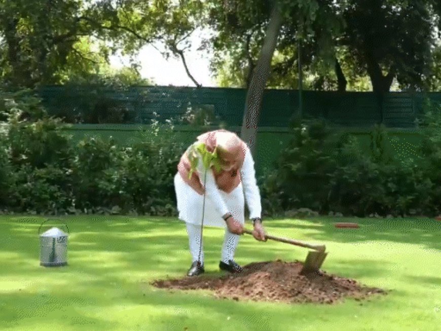 મોદીએ PM આવાસમાં સિંદૂરનો છોડ વાવ્યો:ગુજરાત આવ્યા ત્યારે 1971ના ભારત-PAK યુદ્ધની વીરાંગનાઓએ આપ્યો હતો