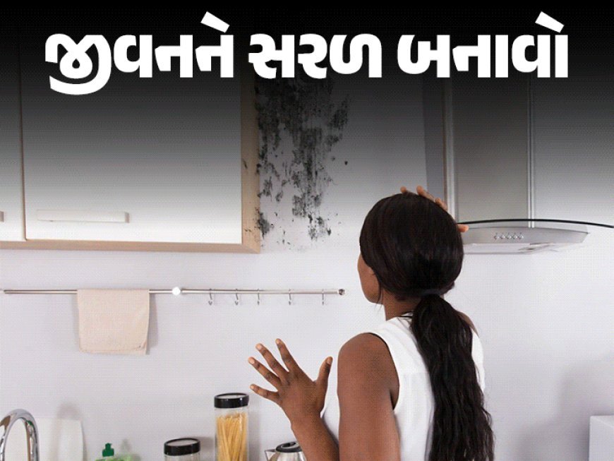 ચોમાસામાં કરિયાણું બગડી જાય છે?:જાણો અનાજ, દાળ અને મસાલાને ભેજ, ફૂગ અને ધનેડાથી બચાવવાની કમાલની રીતો