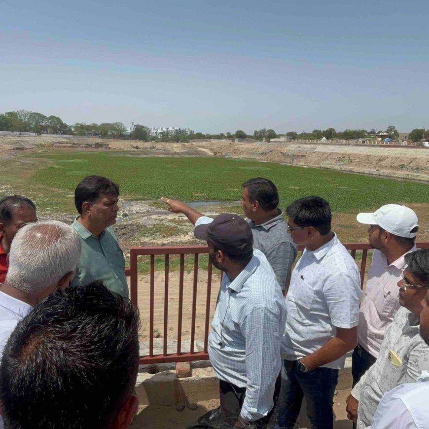 માનસરોવર તળાવમાં જીવ બચાવો અભિયાનને મળી સફળતા:પાલનપુરમાં જીવદયા પ્રેમીની બે વર્ષની મુહિમનો ઇન્ચાર્જ પાલિકા પ્રમુખે સુખદ ઉકેલની ખાત્રી આપી