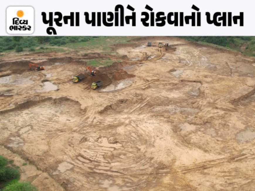 વડોદરા સુધી પહોંચતા પૂરને નિયંત્રણમાં રાખવા બફર લેક તૈયાર:100 દિવસમાં 3 હેકટરમાં બનેલા તળાવમાં 25 કરોડ લિટર પાણીનો સંગ્રહ થશે, સમજો કઈ રીતે પાણીને રોકાશે?