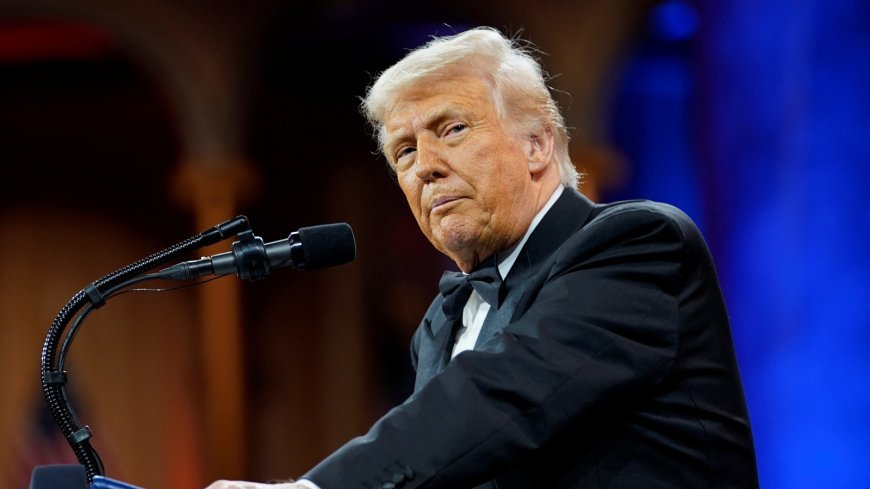 Donald Trump's move to double tariifs on steel and aluminium to 50% takes effect