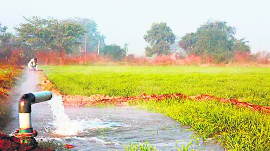 903 irrigation projects junked, most in western Maharashtra