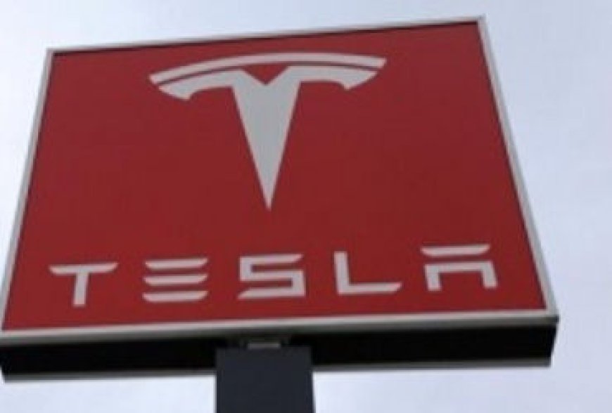 Tesla stocks fall by 5% amid Trump-Musk feud, $12.4 bn washed away