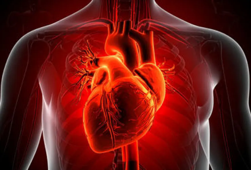 US researchers develop AI model improving sudden cardiac death prediction