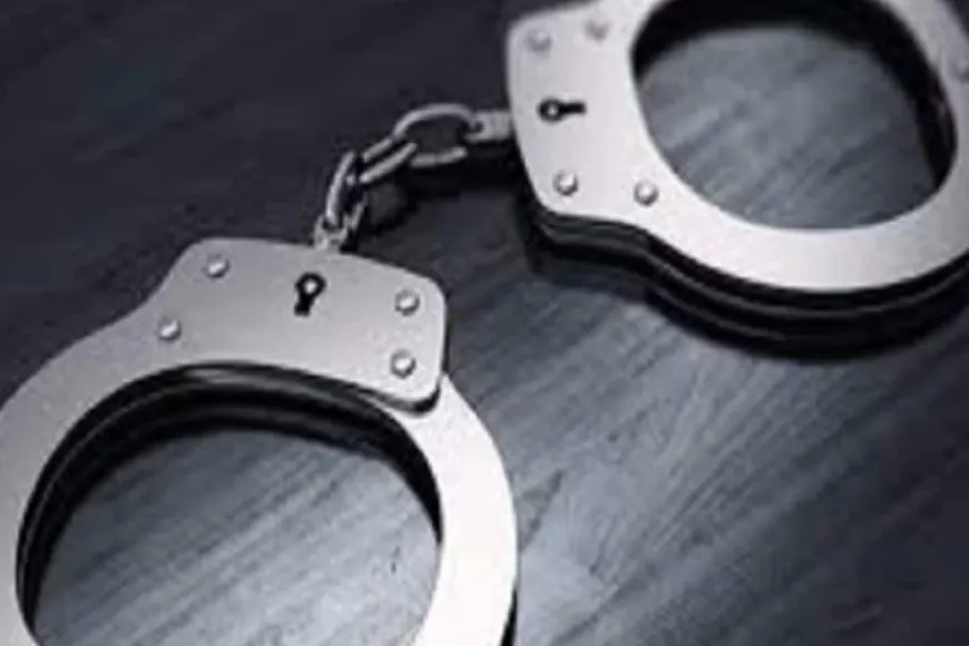 Mumbai Man Arrested For 'Indecent Act' With Pet Hen, Sexually Harassing Neighbour's Minor Son
