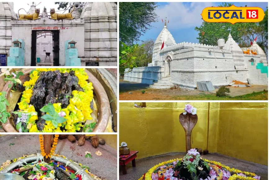 PHOTOS: छत्तीसगढ़ का 1 लाख छिद्रों वाला शिवलिंग,पाताल तक जाता है चढ़ने वाला जल