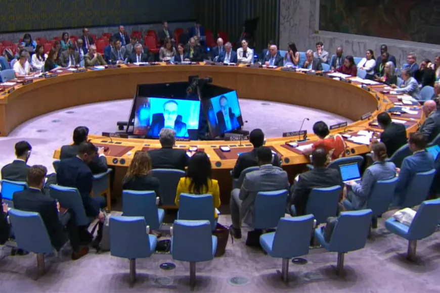 India Downplays Pakistan's UNSC Role, Calls It 'Ceremonial' With No Real Influence