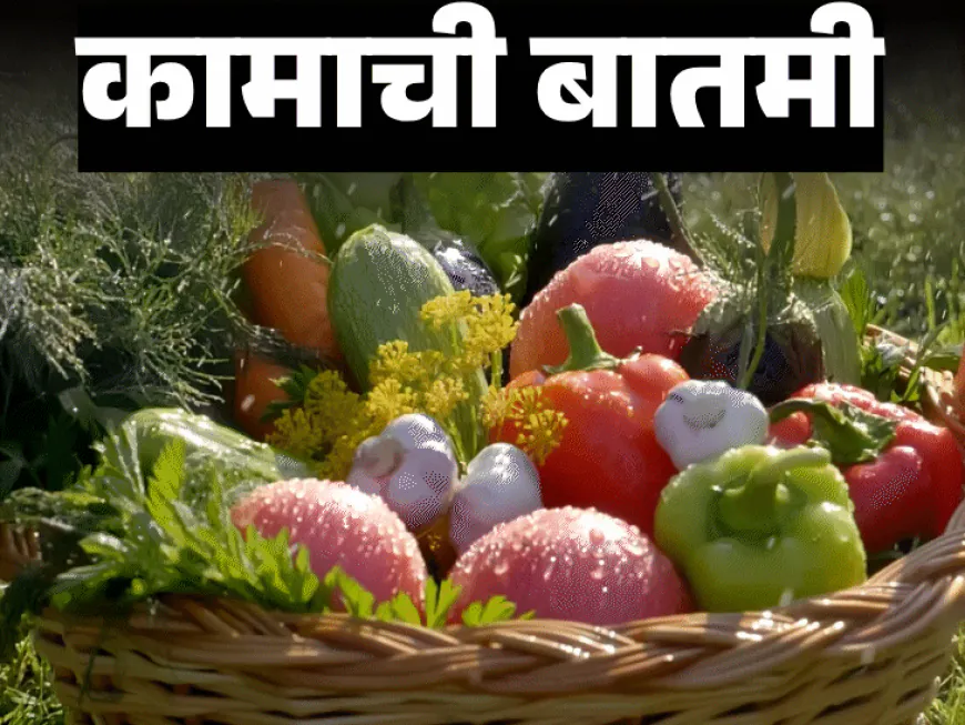 पावसाळ्यात हिरव्या भाज्या खाऊ नका:वांगी व मशरूम तुमचे आरोग्य बिघडू शकतात, डॉक्टरांकडून जाणून घ्या कसा असावा आहार?