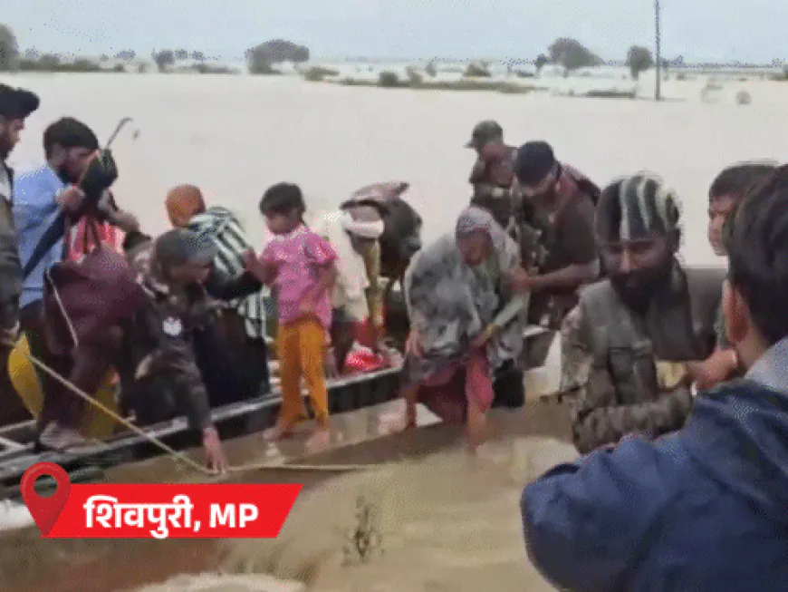 राजस्थान-MP में बाढ़ के हालात, 18 जिलों में स्कूल बंद:शिवपुरी में 35 लोग फंसे, आर्मी रेस्क्यू में लगी; हिमाचल में 357 सड़कें बंद
