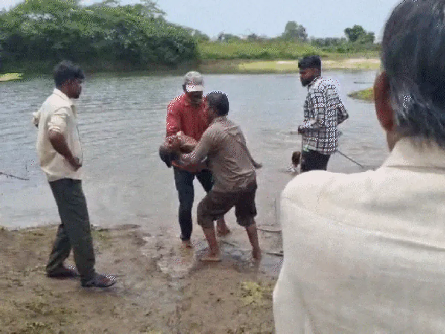 राजकोट के पड़रिया गांव में 3 बच्चों की मौत:तालाब में नहाते समय गहराई में जाने से डूबे, मजदूर परिवार के बच्चों में दो सगे भाई थे