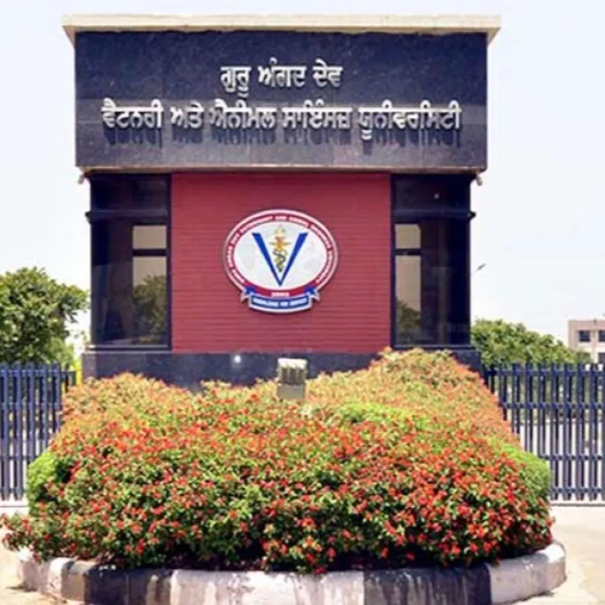 लुधियाना में पशु विज्ञान विश्वविद्यालय के प्रोफेसर सस्पेंड:पुलिस अफसर की पत्नी को अपमानजनक ईमेल भेजने का आरोप, गुरदासपुर पुलिस को सौंपी जांच