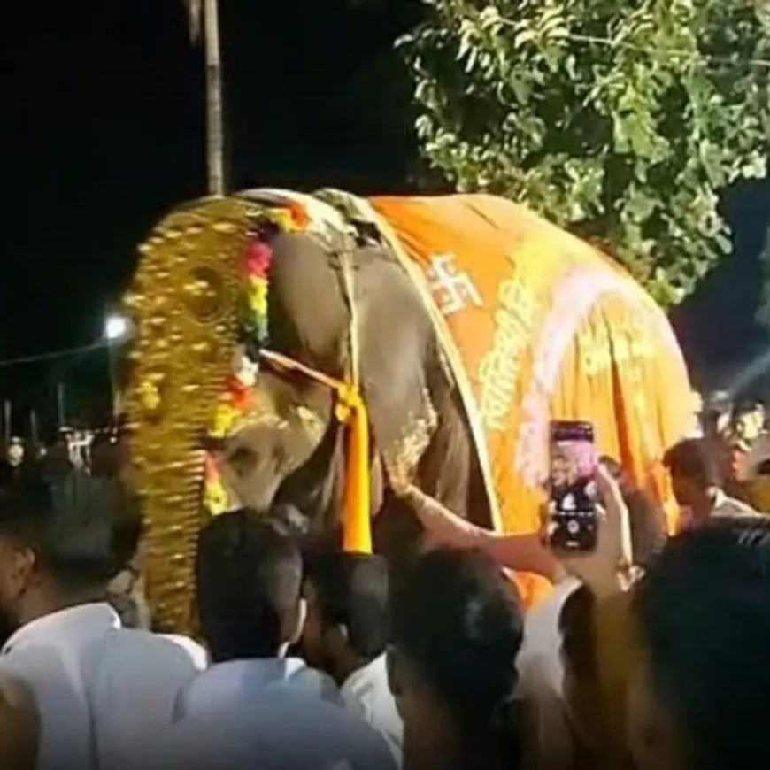 नांदणी मठाची 'माधुरी' हत्तीण परत येणार?:वनतारा कायदेशीर कारवाईत सहकार्य करणार, पालकमंत्री प्रकाश आबिटकरांनी दिली माहिती