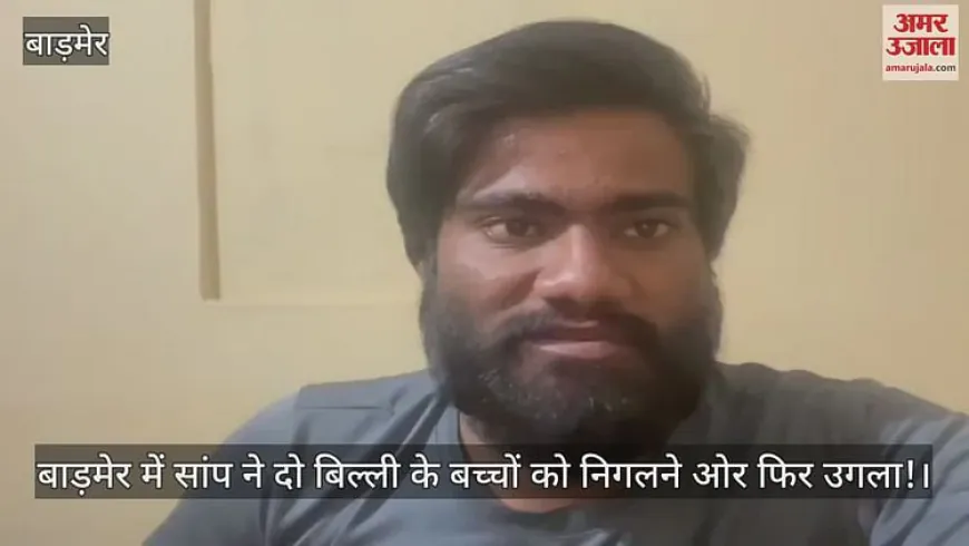 Barmer News: घर में घुसकर बिल्ली के दो बच्चों को निगल गया सांप, फिर रेस्क्यू टीम के सामने किया ये कारनामा