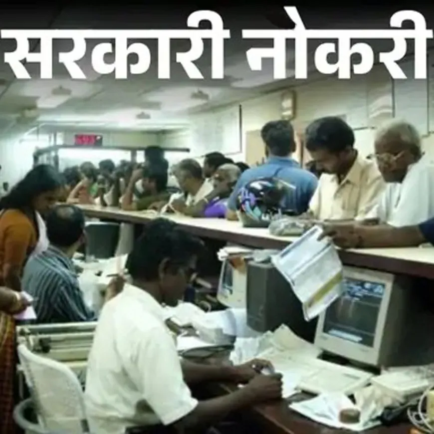 सरकारी नोकरी:IBPS ची 10,277 पदांसाठी भरती जाहीर; अर्ज आजपासून सुरू, पदवीधर करू शकतात अर्ज