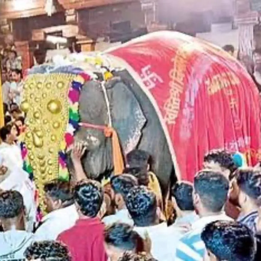 माधुरी हत्तीणीला परत आणण्याच्या मोहिमेत दोन लाखांपेक्षा जास्त नागरिकांच्या सह्या:स्वाक्षरी केलेले फॉर्म राष्ट्रपतींना पाठवण्यात येणार