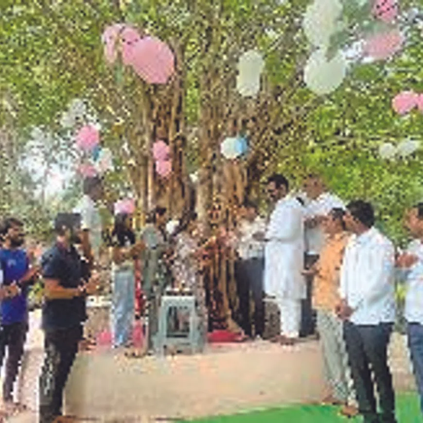 पर्यावरणप्रेमींतर्फे वटवृक्षाशी नाते जपणारा मैत्री दिन:शहरात ‘जीवन’ वृक्षाच्या पुनर्रोपणाचा नववा वाढदिवस, तरुणाईची मोठ्या संख्येने होती उपस्थिती