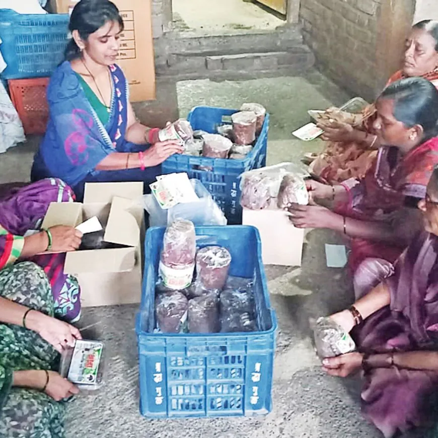 मक्रमपूर येथील महिला बचत गटाच्या सेंद्रिय गुळाचा राज्यात पसरला गोडवा:गावामध्ये ‘उमेद’चे १५ महिला बचत गट