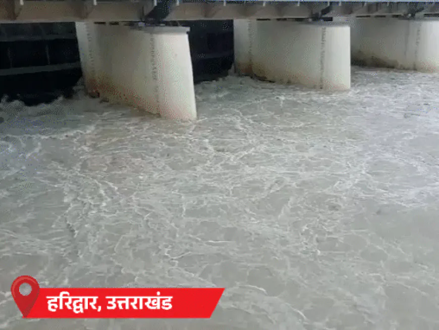 उत्तर प्रदेशातील 17 जिल्ह्यांमध्ये पूर:बिहारमध्ये वीज कोसळून 6 जणांचा मृत्यू; 12 वर्षांनंतर देशात सामान्यपेक्षा 4% जास्त पाऊस