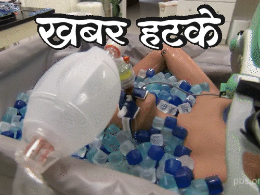 खबर हटके- जर्मन कंपनी ₹2 कोटींत देणार पुनर्जन्म:एका कीटकामुळे निर्माण झाला आण्विक धोका; जाणून घ्या अशा 2 रंजक बातम्या