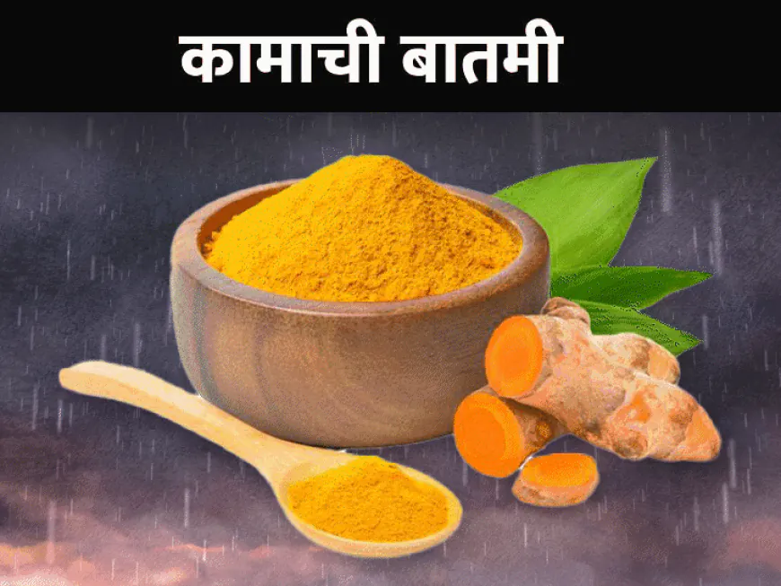 पावसाळ्यात या 8 औषधी वनस्पती वाढवतील इम्युनिटी:तुमच्या आहारात समाविष्ट करा, पोषणतज्ञांकडून जाणून घ्या फायदे आणि ते कसे खावे