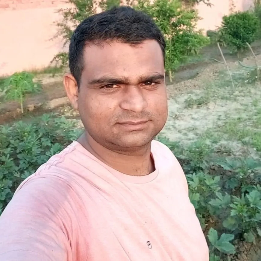 पानीपत के दो बच्चों का पिता दिल्ली में जिंदा जला:तेज रफ्तार कार डिवाइडर से टकराई, आग लगी; साथी घायल