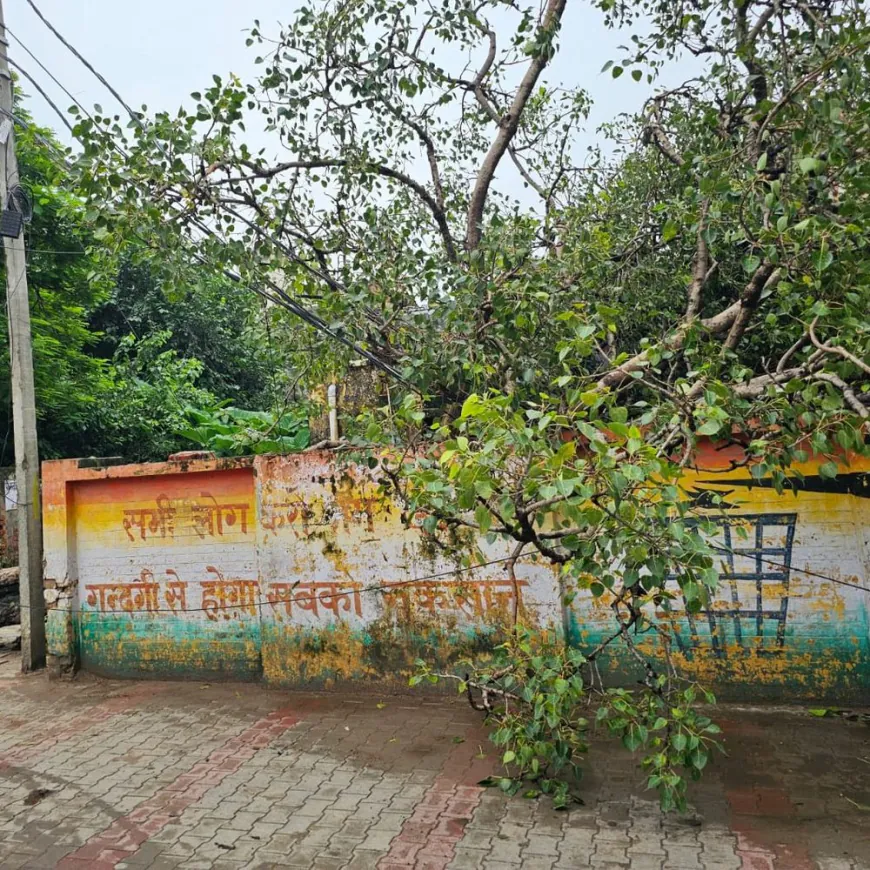 एसडीएम दफ्तर के बाहर तारों पर गिरा पेड़:कई बिजली के खंभे हुए क्षतिग्रस्त, क्षेत्र में बिजली आपूर्ति बाधित