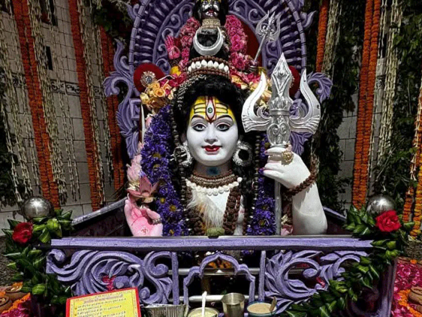 आजमगढ़ के पांडेश्वर महादेव मंदिर में उमड़ा भक्तों का मेला:खेत से निकला था शिवलिंग महाशिवरात्रि और श्रवण के महीने में लगता है मेल शाम को भंडारा