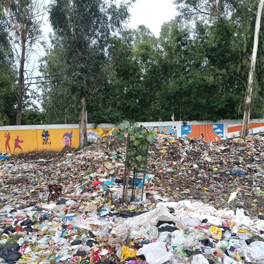 सौंदर्यीकरण के लिए दीवारों पर की चित्रकारी, पौधारोपण भी किया, अब कूड़े के ढेर क्यों?