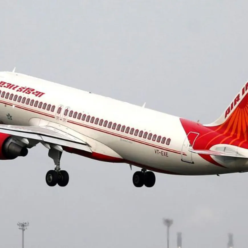 एअर इंडिया की सैन फ्रांसिस्को-मुंबई फ्लाइट में कॉकरोच मिले:केबिन क्रू ने यात्रियों की सीट बदली; एयरलाइन बोली- कीड़े कभी-कभी विमान में घुस जाते हैं