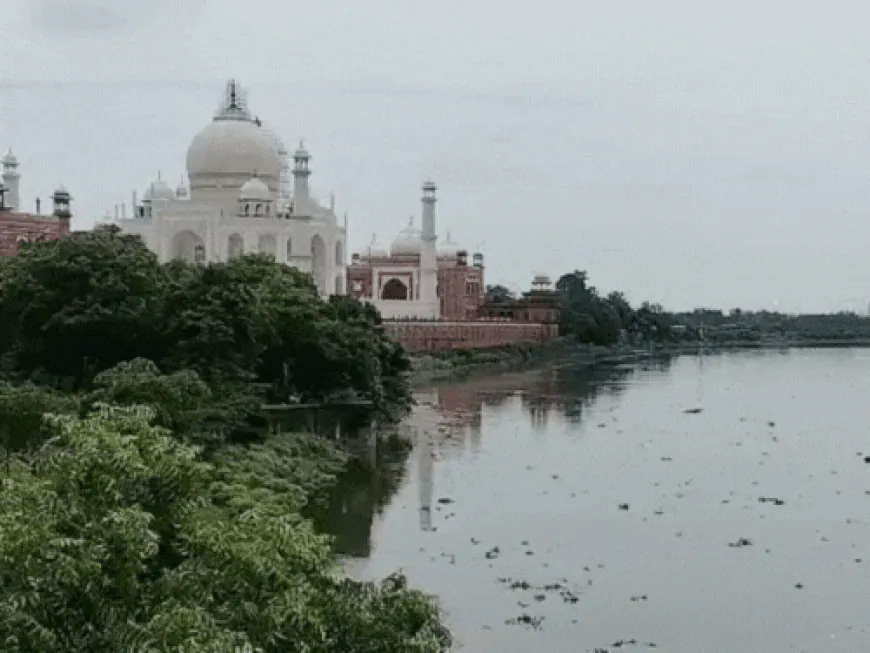 यमुना के पानी से ताजमहल की नींव हो रही मजबूत:इतिहासकार बोले-सागौन की लकड़ी से बनी, WRI जता चुका है चिंता
