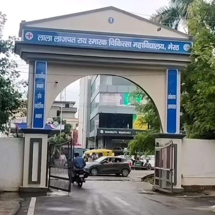 मेरठ मेडिकल में जन्मे दुर्लभ जुड़वा बच्चों की मौत:ऑपरेशन करने वाली डॉक्टर ने बताया पेट ,धड़ समेत कई हिस्से जुडे़ थे मुश्किल था बचना
